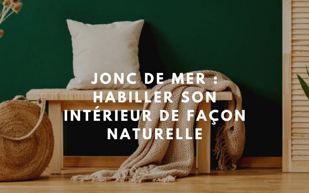 jonc de mer