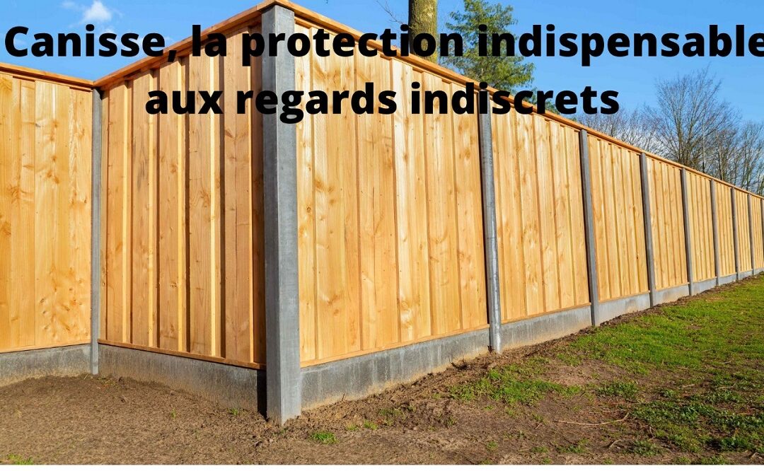 La canisse, pour vous protéger des regards indiscrets et garantir votre intimité