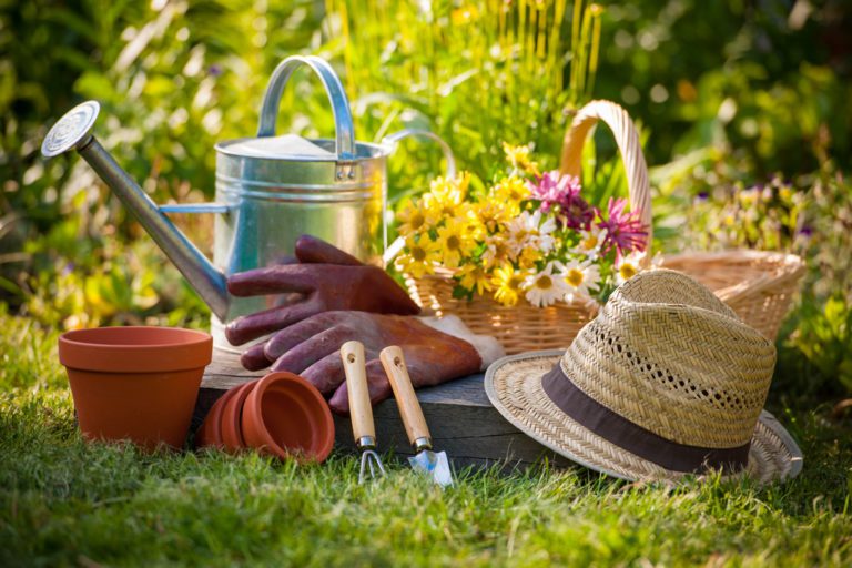 entretien jardin