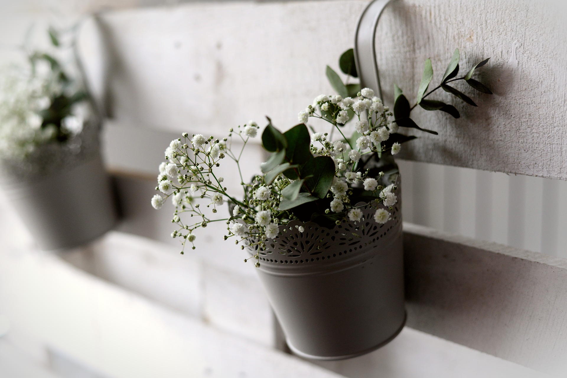 Gypsophile : un bel élément décoratif pour vos bouquets de fleurs.