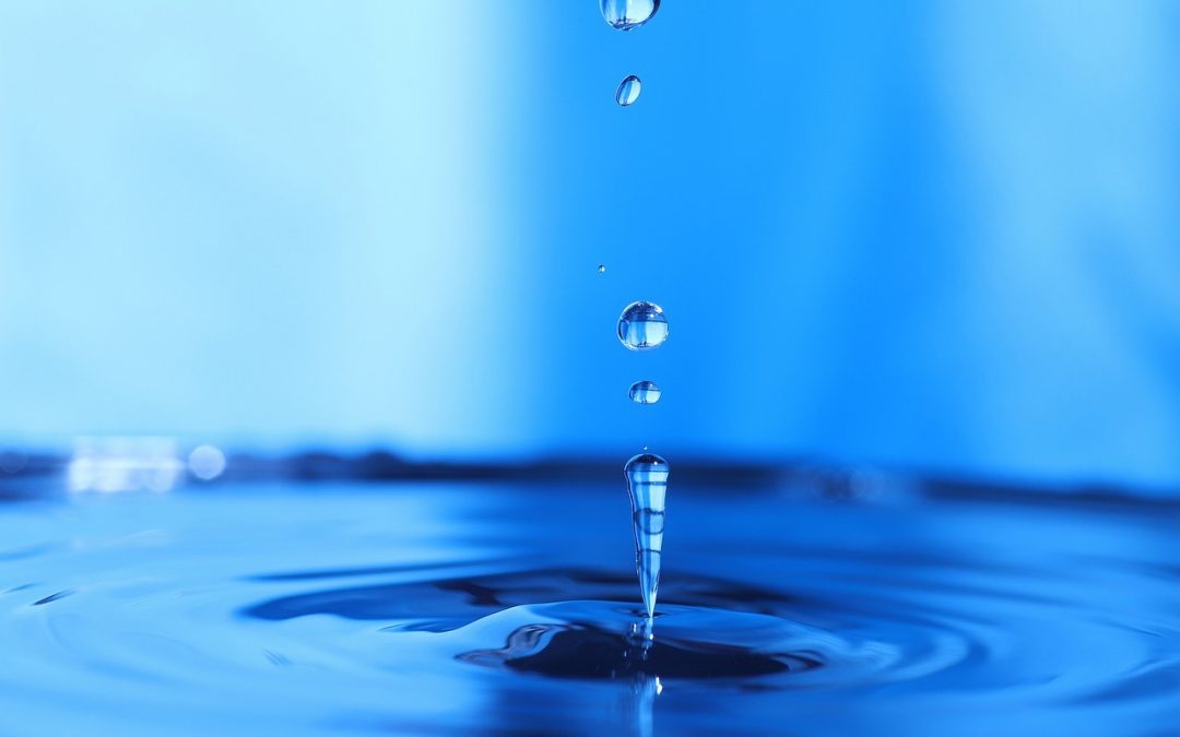 Purification de l’eau : systèmes de traitement des eaux domestiques