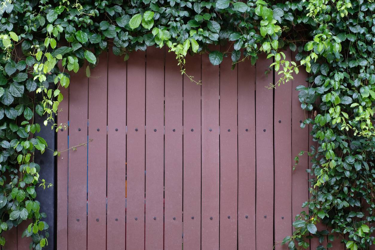 portillon en bois clôture jardin