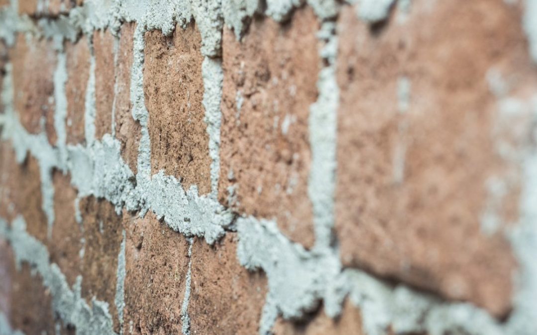 Voici comment cacher un vilain mur extérieur : voici nos conseils !