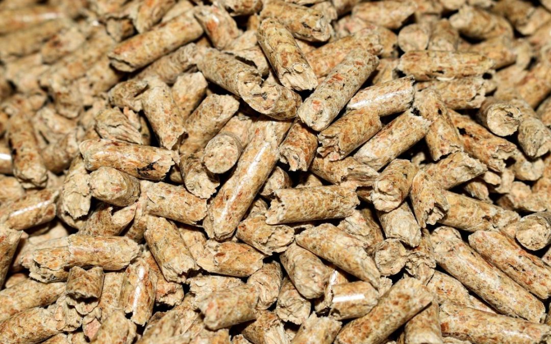 Prix pellets : tout ce que vous devez savoir sur les prix et prévisions futures