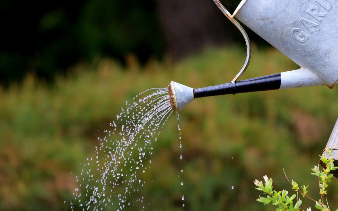 Aménager un coin repas en extérieur, dans son jardin, quelles astuces suivre ?