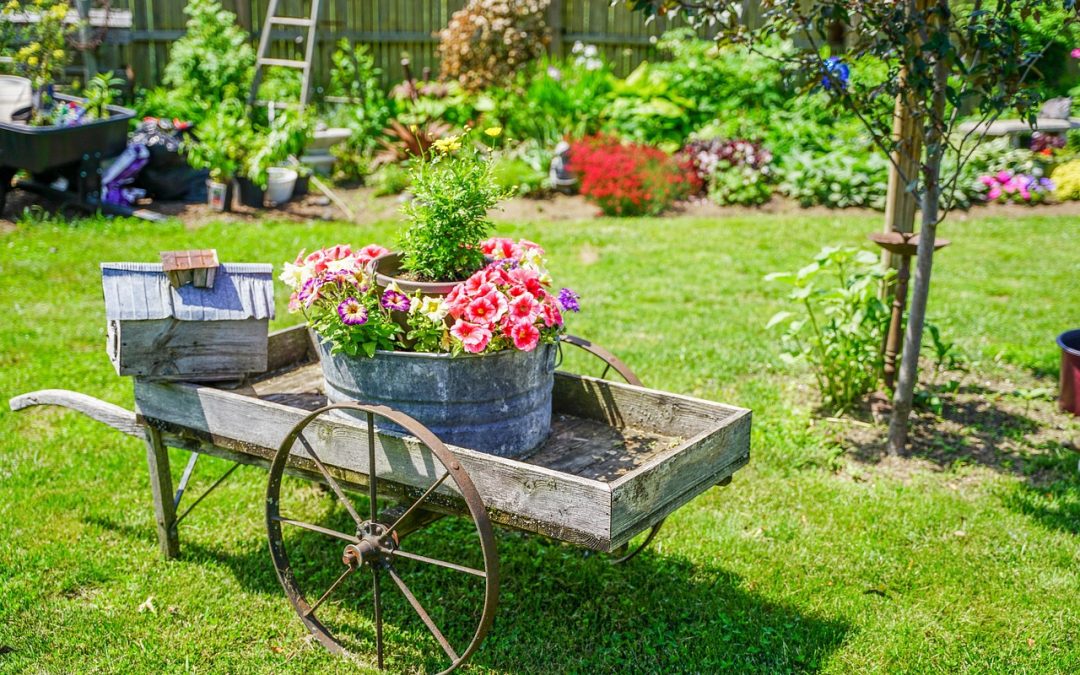 Comment fabriquer un potager sur pied avec des palettes : suivez ces étapes