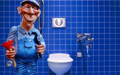 Cuve wc : comment bien la choisir ?