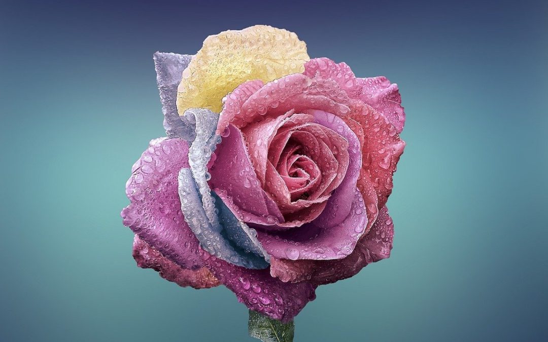 Idée de déco avec des roses