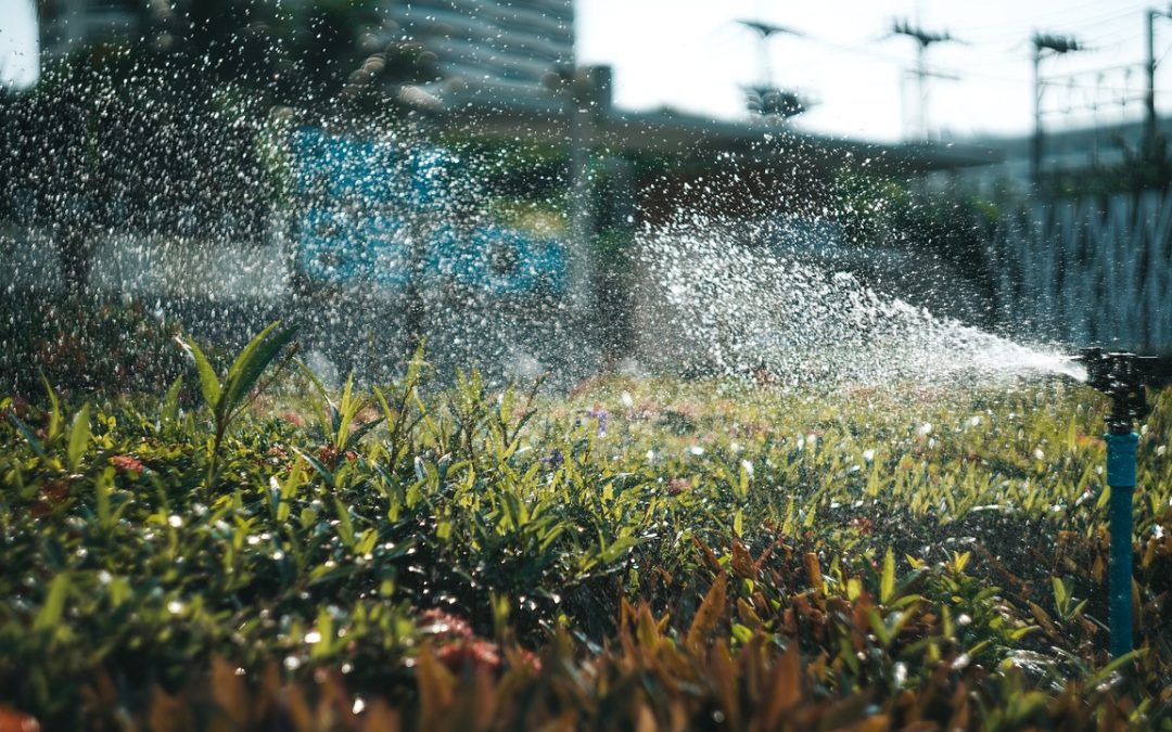 Irrigation intelligente : optimiser l’arrosage de votre jardin avec un surpresseur à eau