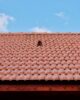 Techniques simples et efficaces pour la pose d’un solin dans votre maison