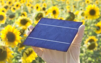 Illuminez votre espace avec les kits solaires autonomes d’Upwatt : une solution durable pour votre intérieur
