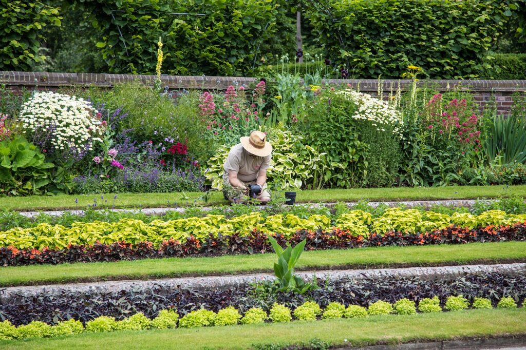Comment créer un jardin durable : conseils pour un aménagement éco-responsable