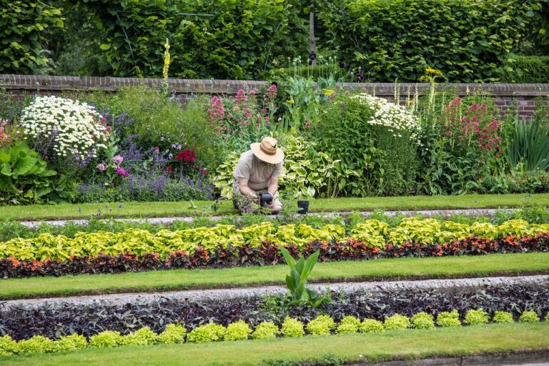 Comment créer un jardin durable : conseils pour un aménagement éco-responsable