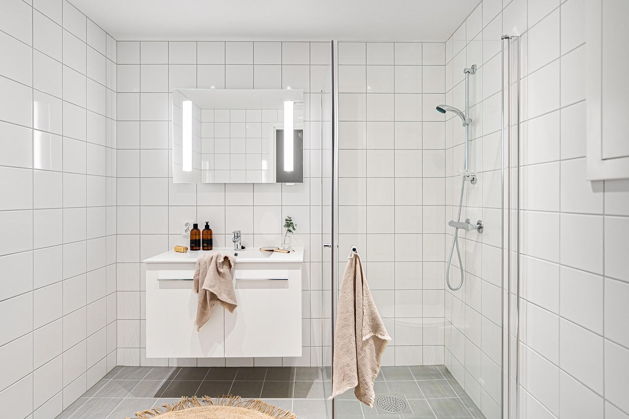 porte de douche pivotante 90 cm
